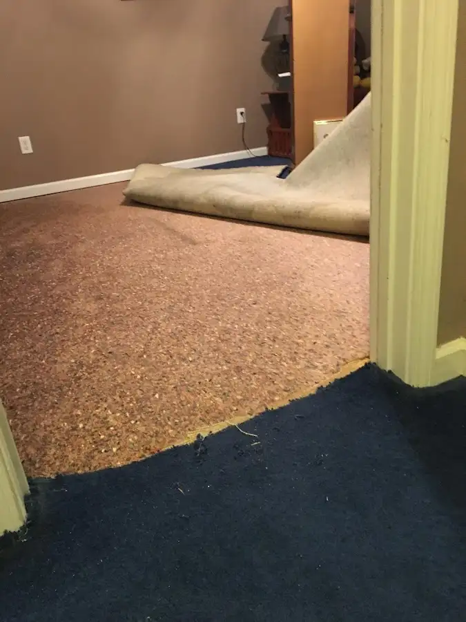Carpet pad removal revealing water damage during Drying & Dehumidification in Grosse Ile