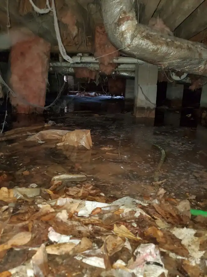Crawl space flood assessment for Commercial Water Damage Restoration in Grosse Ile