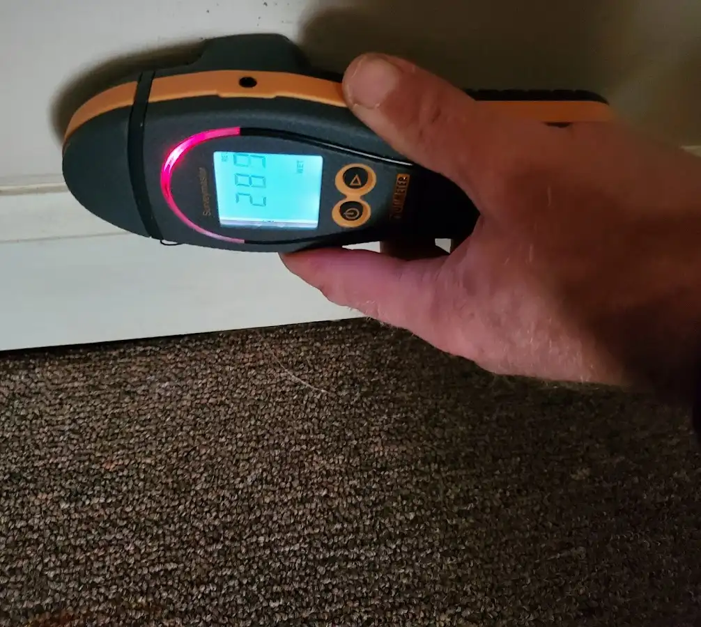 Moisture detection at baseboard during Sewage Cleanup & Sanitation in Grosse Ile