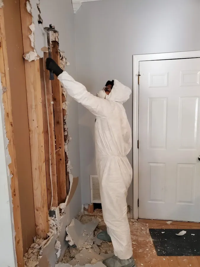 Commercial Water Damage Restoration in Grosse Ile, MI