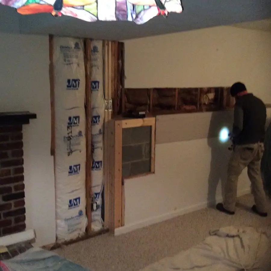Restoration technician inspecting water damage in Grosse Ile